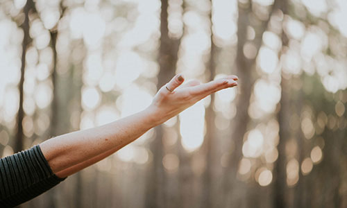 Graphenstone The Earth Collection. Alta decoración sostenible.