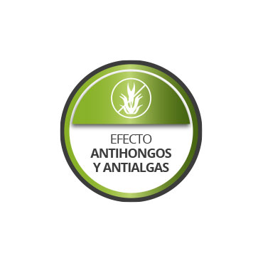 Tratamiento antihongos / antialgas