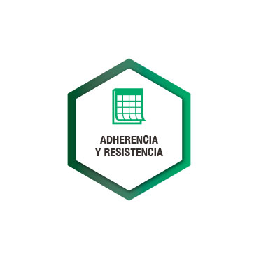 Pintura resistente y duradera