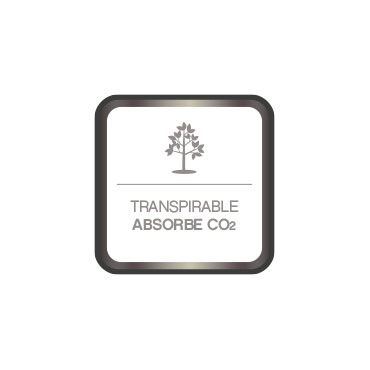 Pintura transpirable. Absorbe CO2