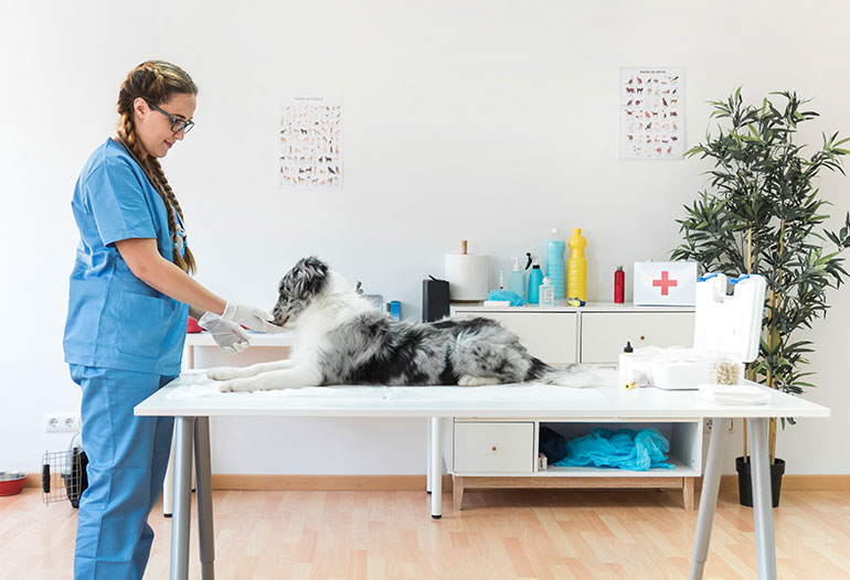 Pintura antibacteriana ecológica