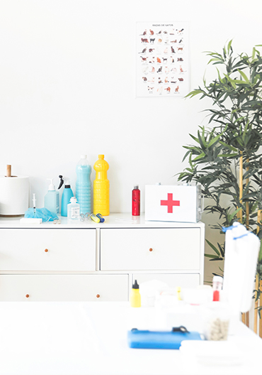 Pintura natural ecológica para interiores