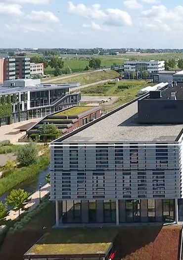 Graphenstone Parque 2020. Proyecto Cradle to Cradle