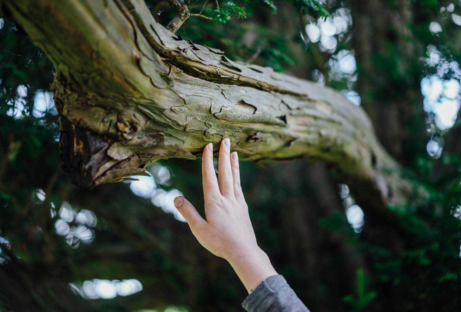 Graphenstone atemporal y bello