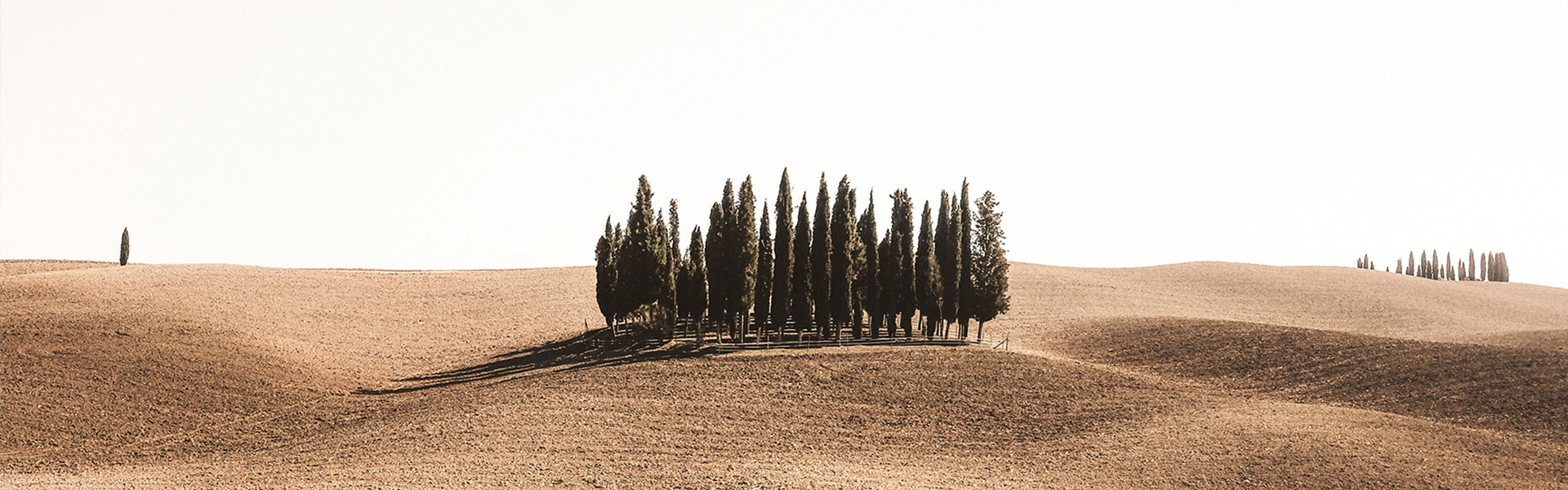 Graphenstone The Earth Collection. Sustainable 高装饰