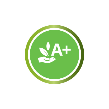 Ecological paint. Free VOC.