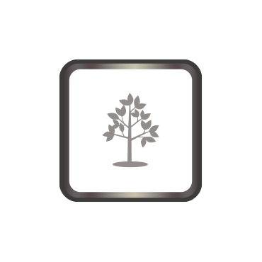 Breathable paint. Absorbs CO2