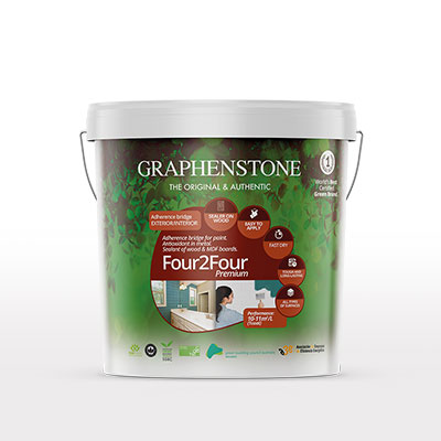 Adherence bridge for paints