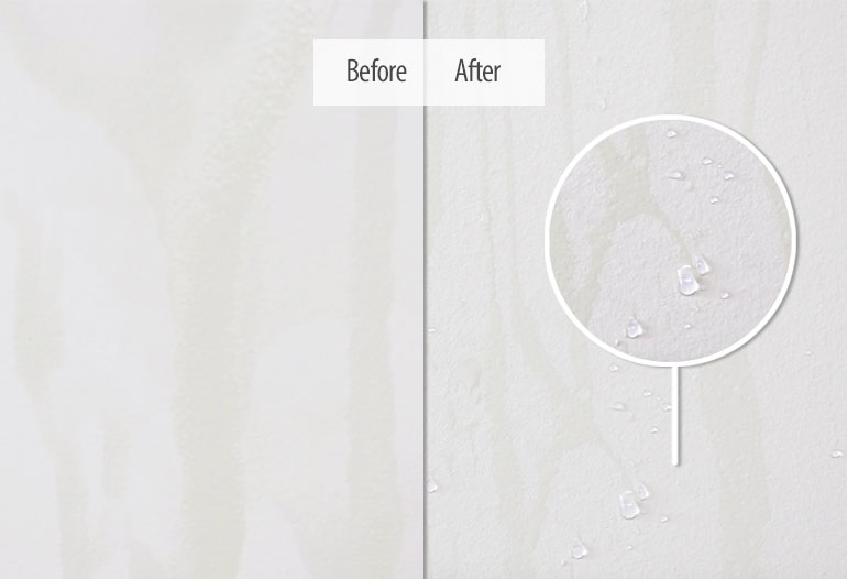 water-repellent treatment for mineral paints and mortars