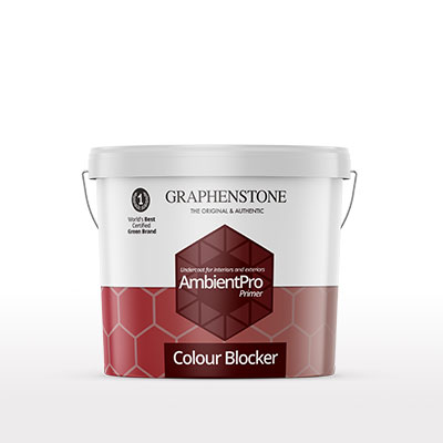 Adhesion bridge for paints