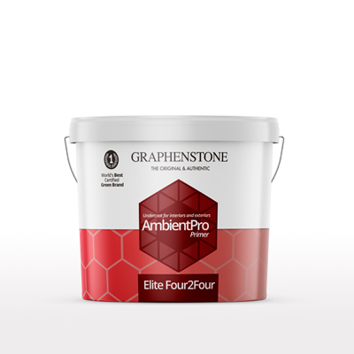 Adhesion bridge for paints