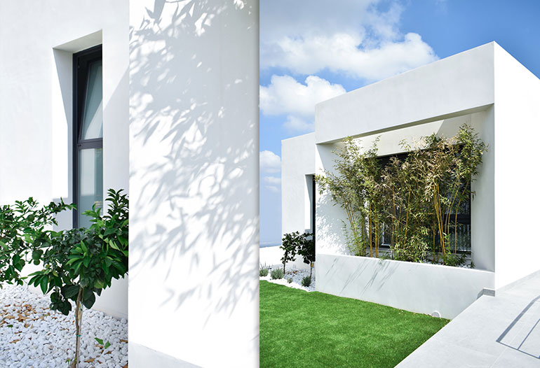 Natural ecological paint for interiors