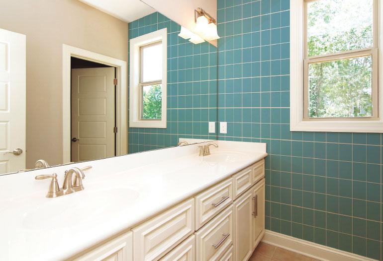 Adherence bridge for paint. Antioxidant in metal. Sealant of wood & MDF boards.