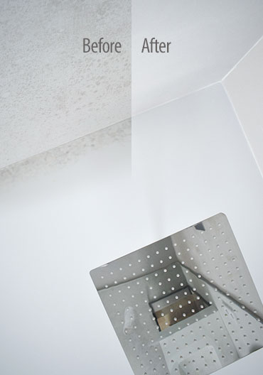 water-repellent treatment for mineral paints and mortars