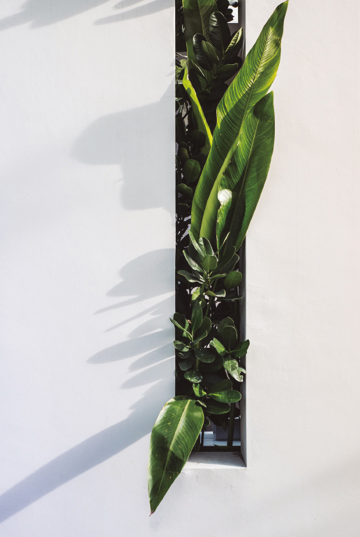 Graphenstone Green Building. Eco-Building