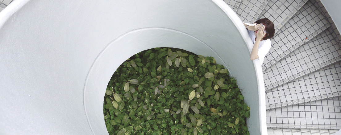 Graphenstone Green Building. Eco-Building